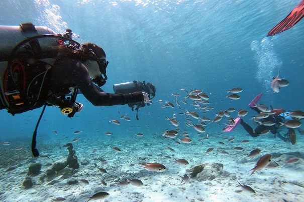 Bonaire, The Dutch Caribbean - Bon Bini