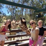 summer camp slideshow photo for Rein Teen Tours