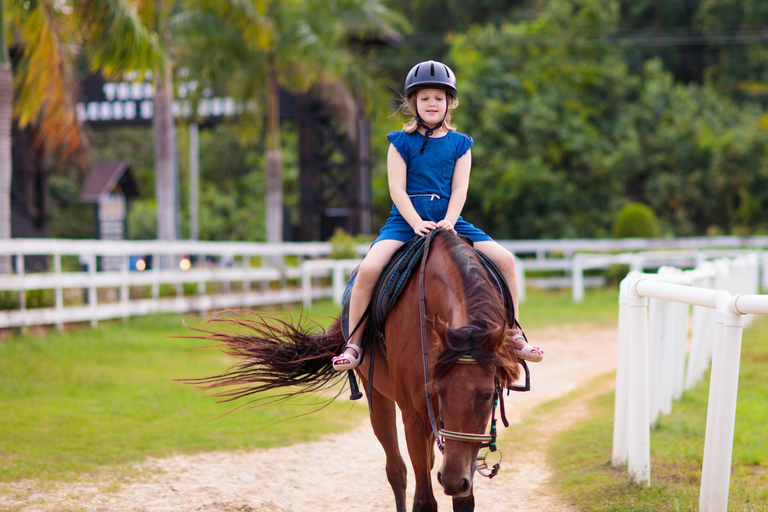 Horseback Riding Positions at Summer Camp